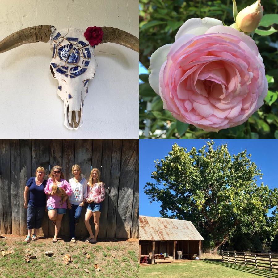 Dingup House Bed & Breakfast Manjimup Eksteriør bilde
