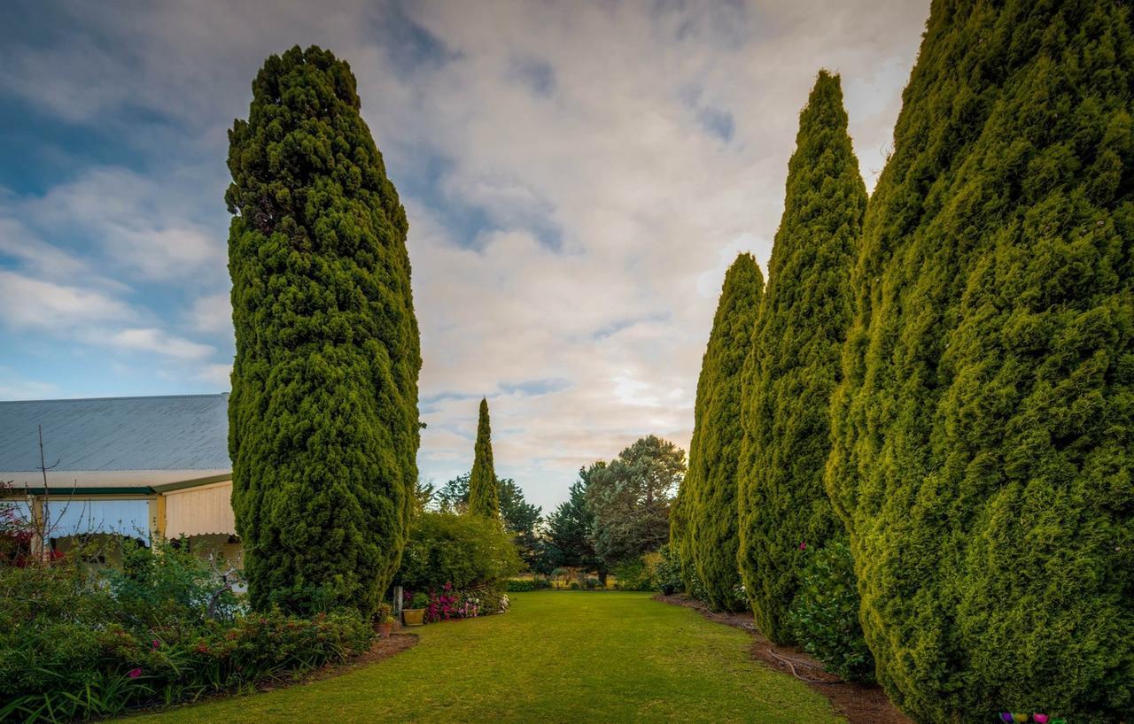 Dingup House Bed & Breakfast Manjimup Eksteriør bilde