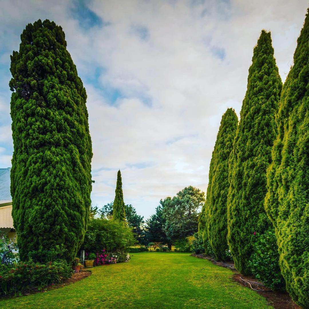 Dingup House Bed & Breakfast Manjimup Eksteriør bilde